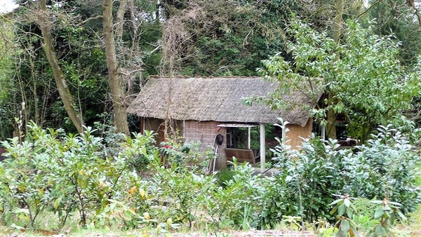20100411_48