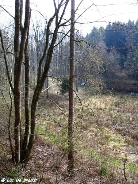 Ardennen wandeling Adeps Petigny