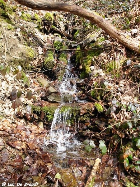 Ardennen wandeling Adeps Petigny