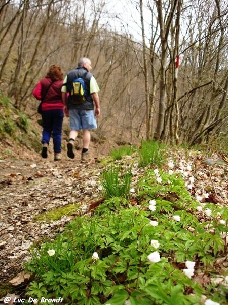 Ardennen wandeling Adeps Petigny