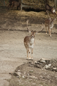 IMG_2897