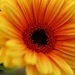 096