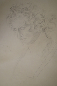 bachus