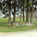 vakantie HOUFFALIZE 046