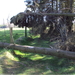 vakantie HOUFFALIZE 083