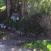 wandelfotos 004
