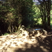 wandelfotos 007