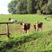 wandelfotos 014