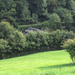 wandelfotos 033