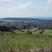 wandelfotos 038