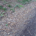 wandelfotos 051