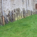 wandelfotos 067