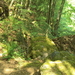 HOUFFALIZE 044