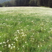 HOUFFALIZE 061