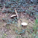 HOUFFALIZE 003