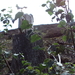 HOUFFALIZE 059