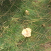 HOUFFALIZE 066