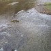 HOUFFALIZE 016