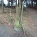 HOUFFALIZE 048