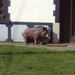 HOUFFALIZE 069