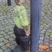 HOUFFALIZE 034