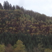 HOUFFALIZE 041
