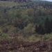 HOUFFALIZE 042