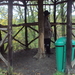 HOUFFALIZE 048