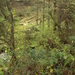 HOUFFALIZE 064