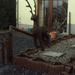 HOUFFALIZE 082