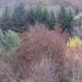 HOUFFALIZE 090