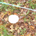HOUFFALIZE 143
