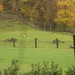 HOUFFALIZE 148