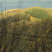 HOUFFALIZE 153