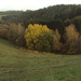 HOUFFALIZE 154