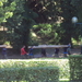 SPA 032