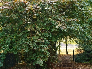 St.Truiden 046