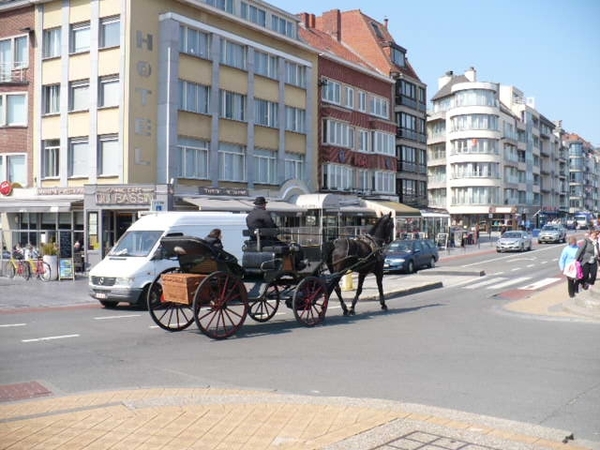 DE KOETSEN MET PAARDEN