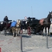 PAARD EN KOETS