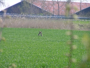 Karnemelksehoek+fiets 026