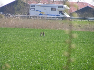 Karnemelksehoek+fiets 027