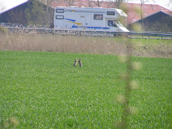 Karnemelksehoek+fiets 027