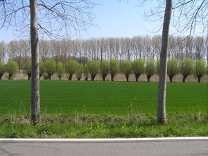 op de grens d 015