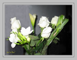 web_IMG_3172 witte roosjes