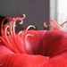 web_IMG_3188 macro-amaryllis