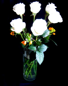 IMG_3272 witte roosjes