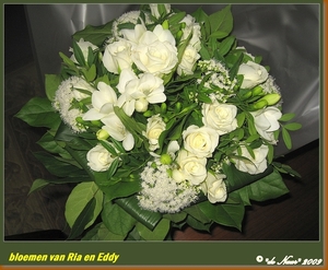 web_IMG_4216