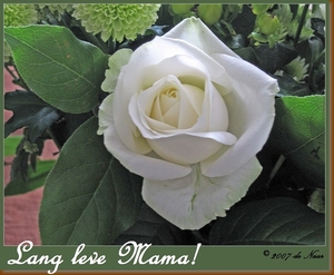 web_lang leve mama IMG_0194_edited-1