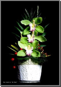 IMG_1202  groene orchidee
