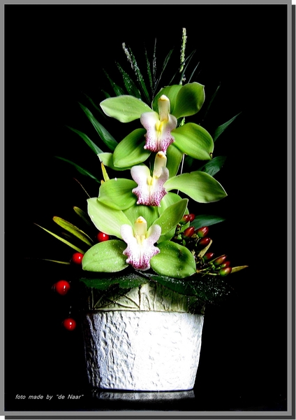 IMG_1202  groene orchidee